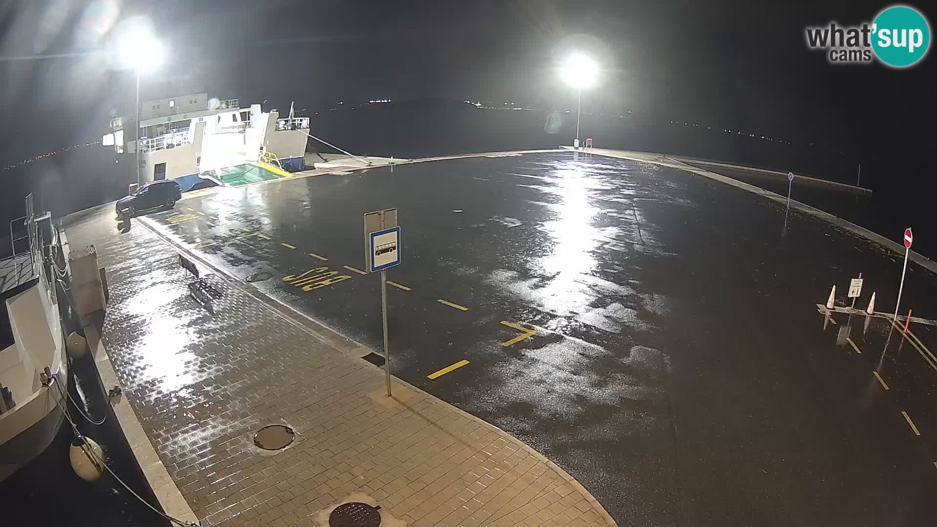 Tkon v živo – trajekt – Dalmacija – Hrvaška