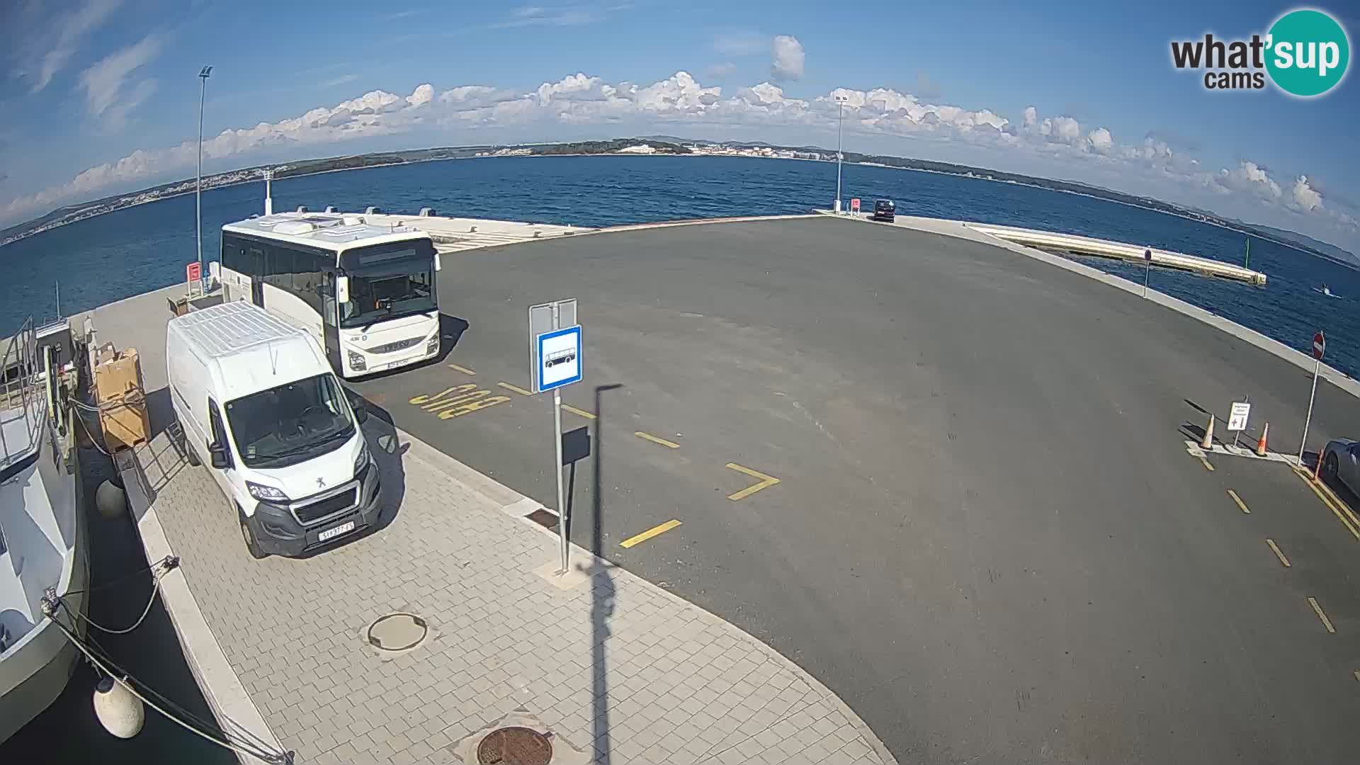 Tkon v živo – trajekt – Dalmacija – Hrvaška