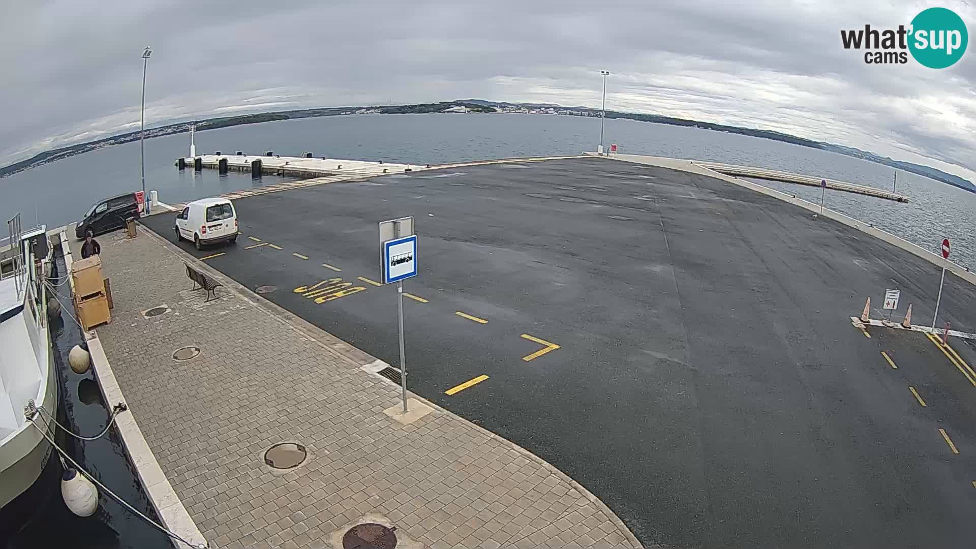 Tkon Live cam – ferry – Dalmatie – Croatie