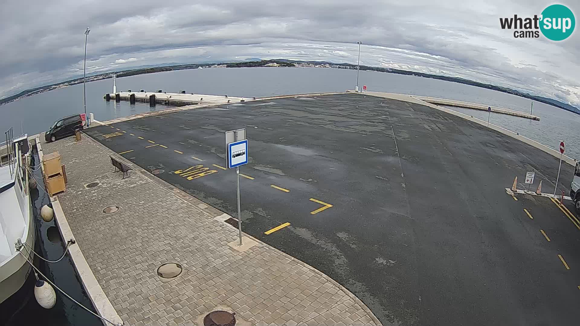 Tkon camera en vivo – Transportar – Dalmacia – Croacia