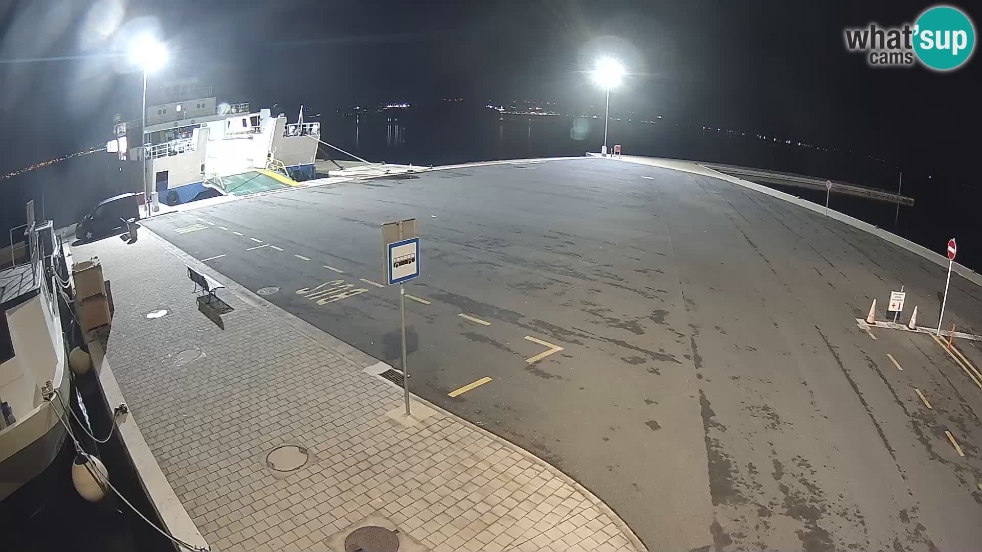 Tkon v živo – trajekt – Dalmacija – Hrvaška