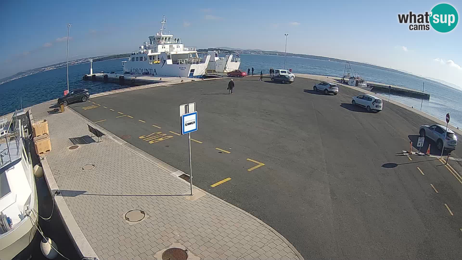 Tkon v živo – trajekt – Dalmacija – Hrvaška