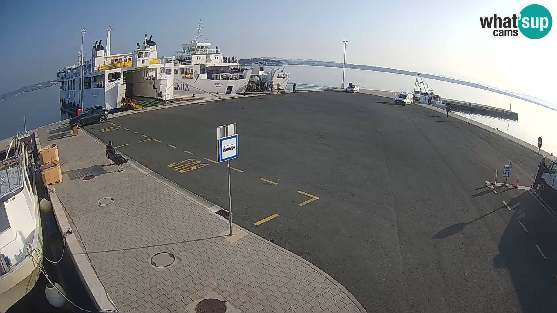 Tkon v živo – trajekt – Dalmacija – Hrvaška