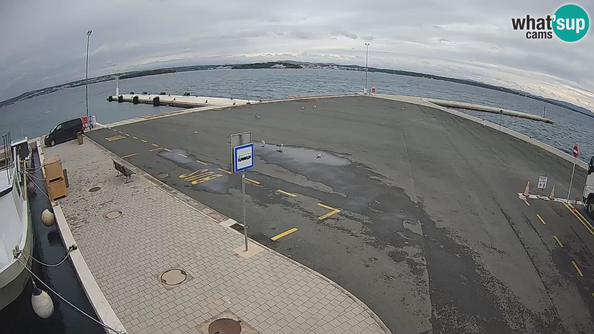 Tkon Live cam – ferry – Dalmatia – Croatia