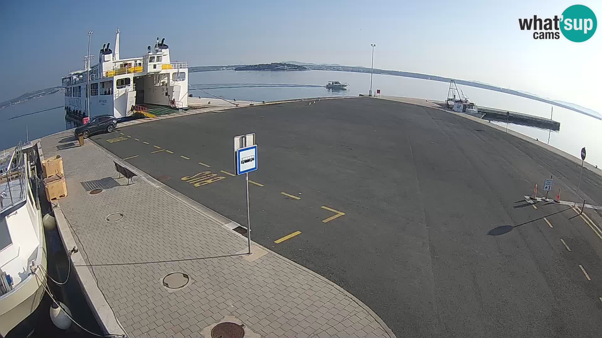 Tkon Live cam – ferry – Dalmatie – Croatie