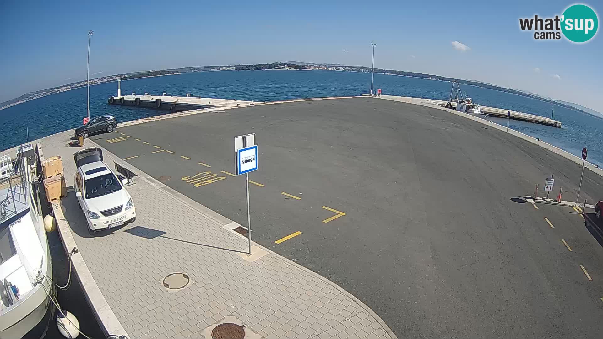 Tkon v živo – trajekt – Dalmacija – Hrvaška