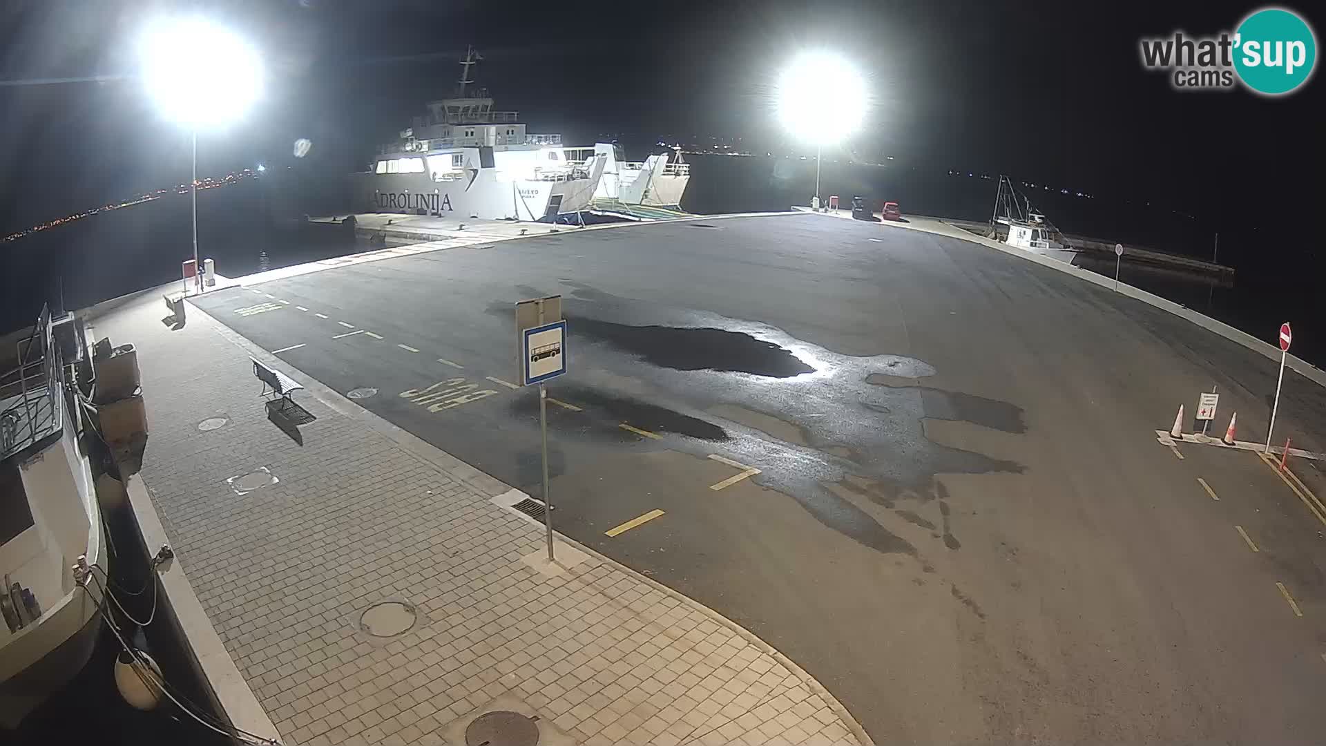 Tkon v živo – trajekt – Dalmacija – Hrvaška