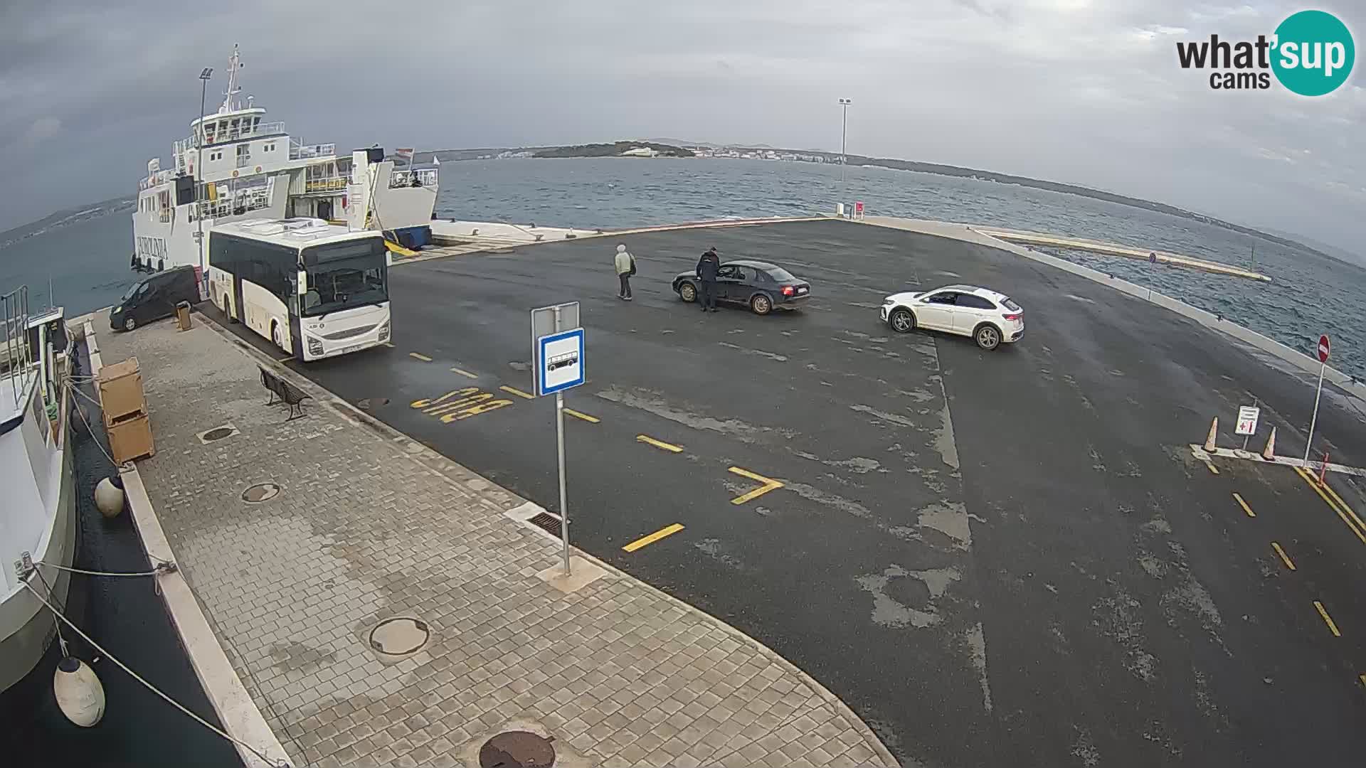 Tkon u živo – trajekt – Dalmacija