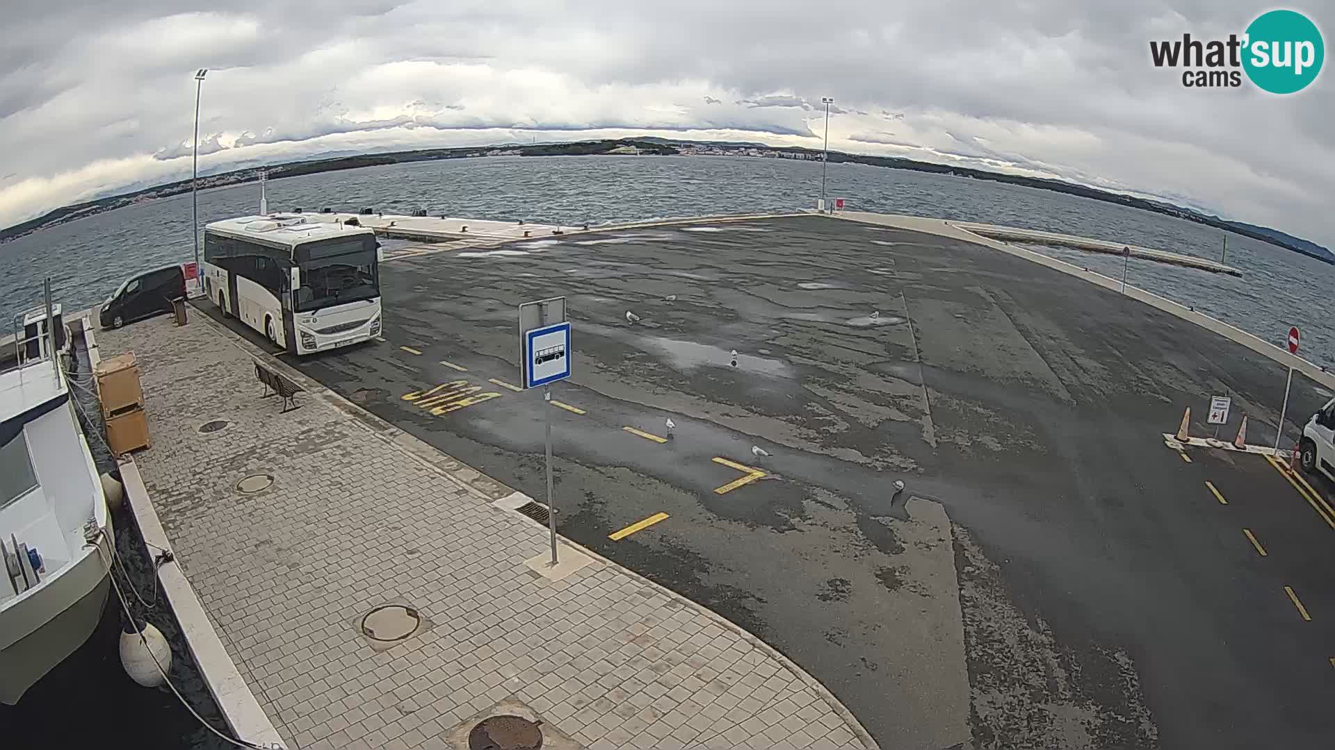 Tkon u živo – trajekt – Dalmacija