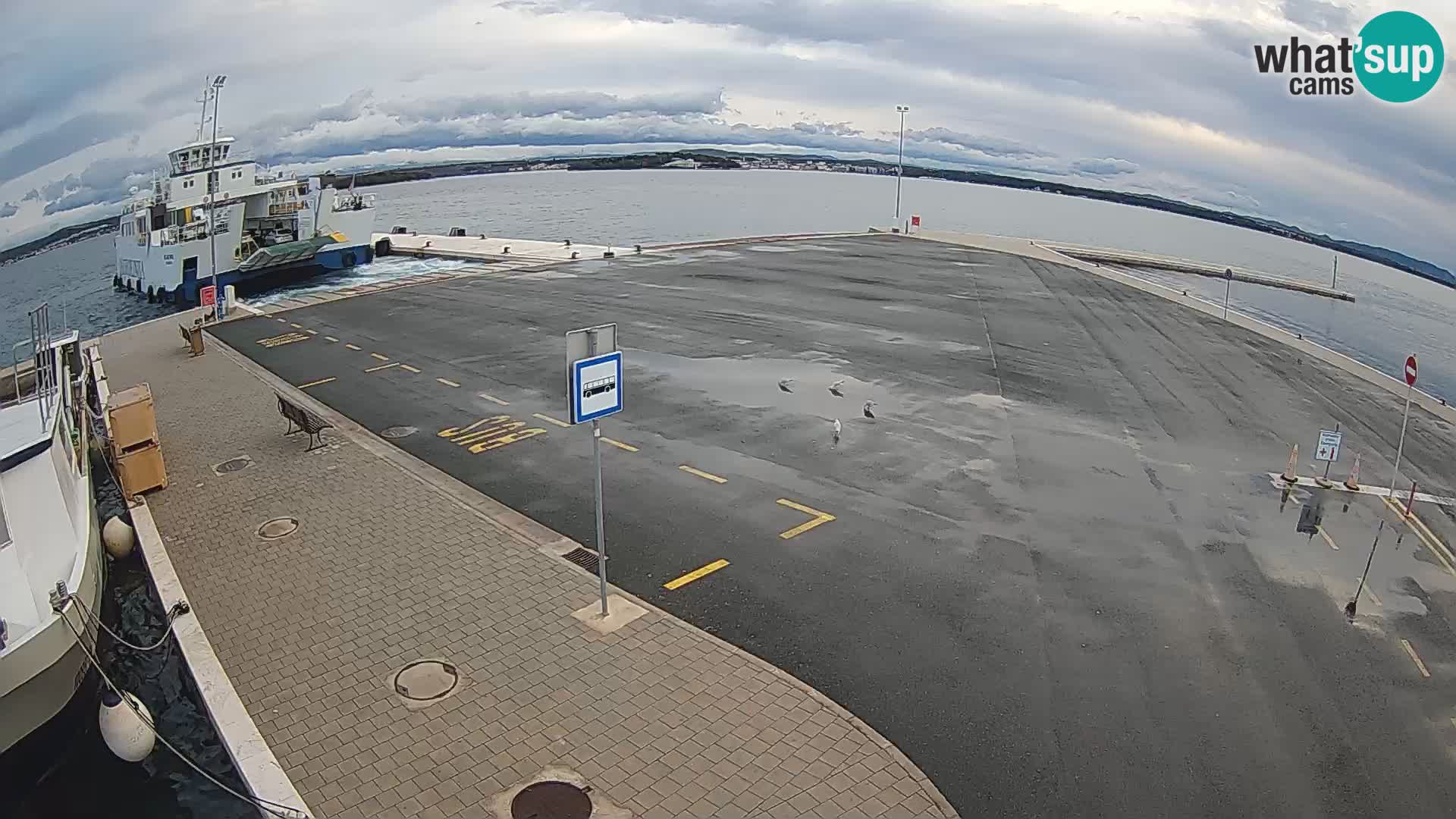 Tkon u živo – trajekt – Dalmacija