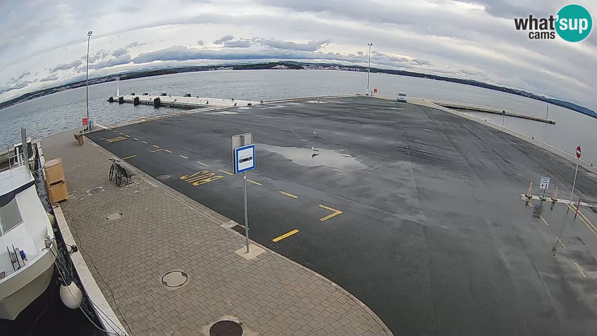 Tkon camera en vivo – Transportar – Dalmacia – Croacia