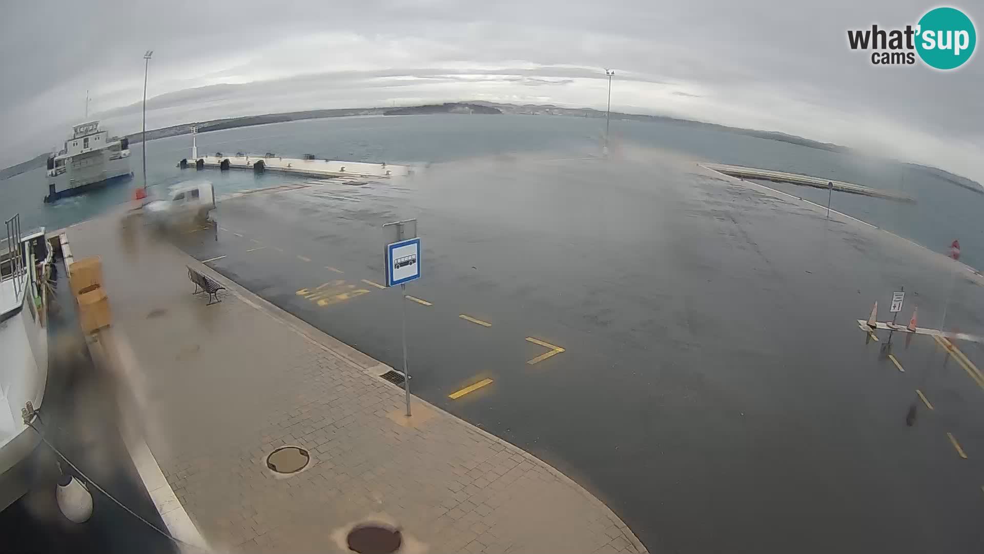 Tkon v živo – trajekt – Dalmacija – Hrvaška