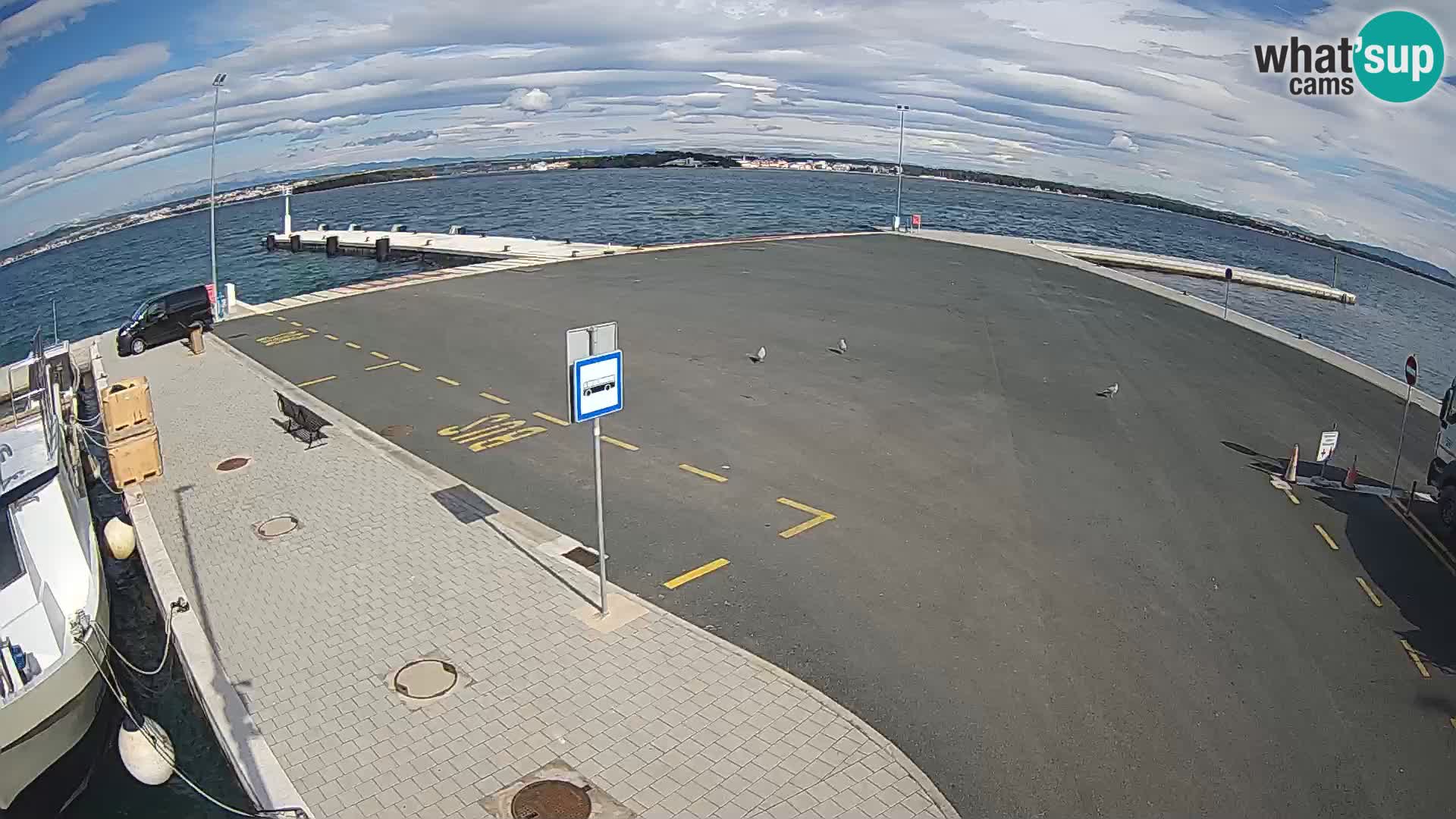 Tkon v živo – trajekt – Dalmacija – Hrvaška