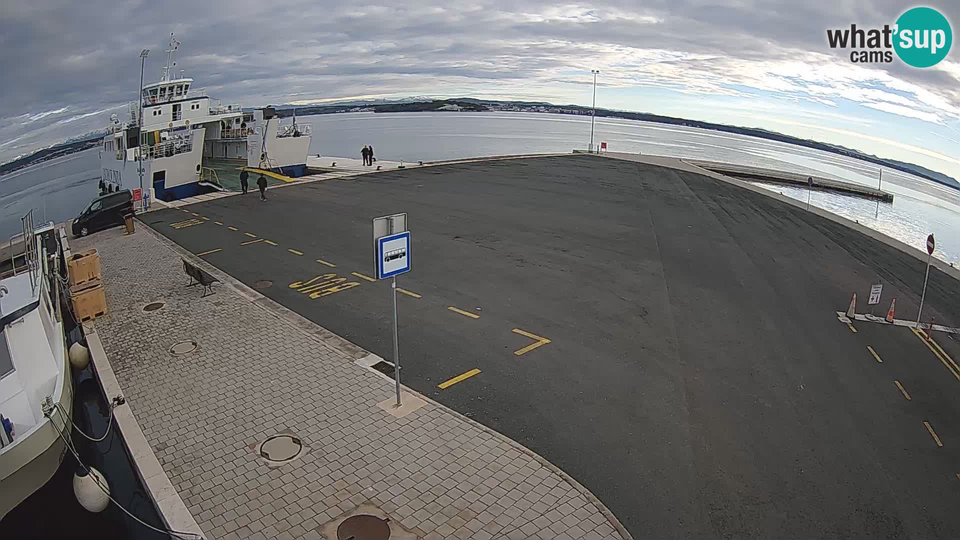 Tkon camera en vivo – Transportar – Dalmacia – Croacia