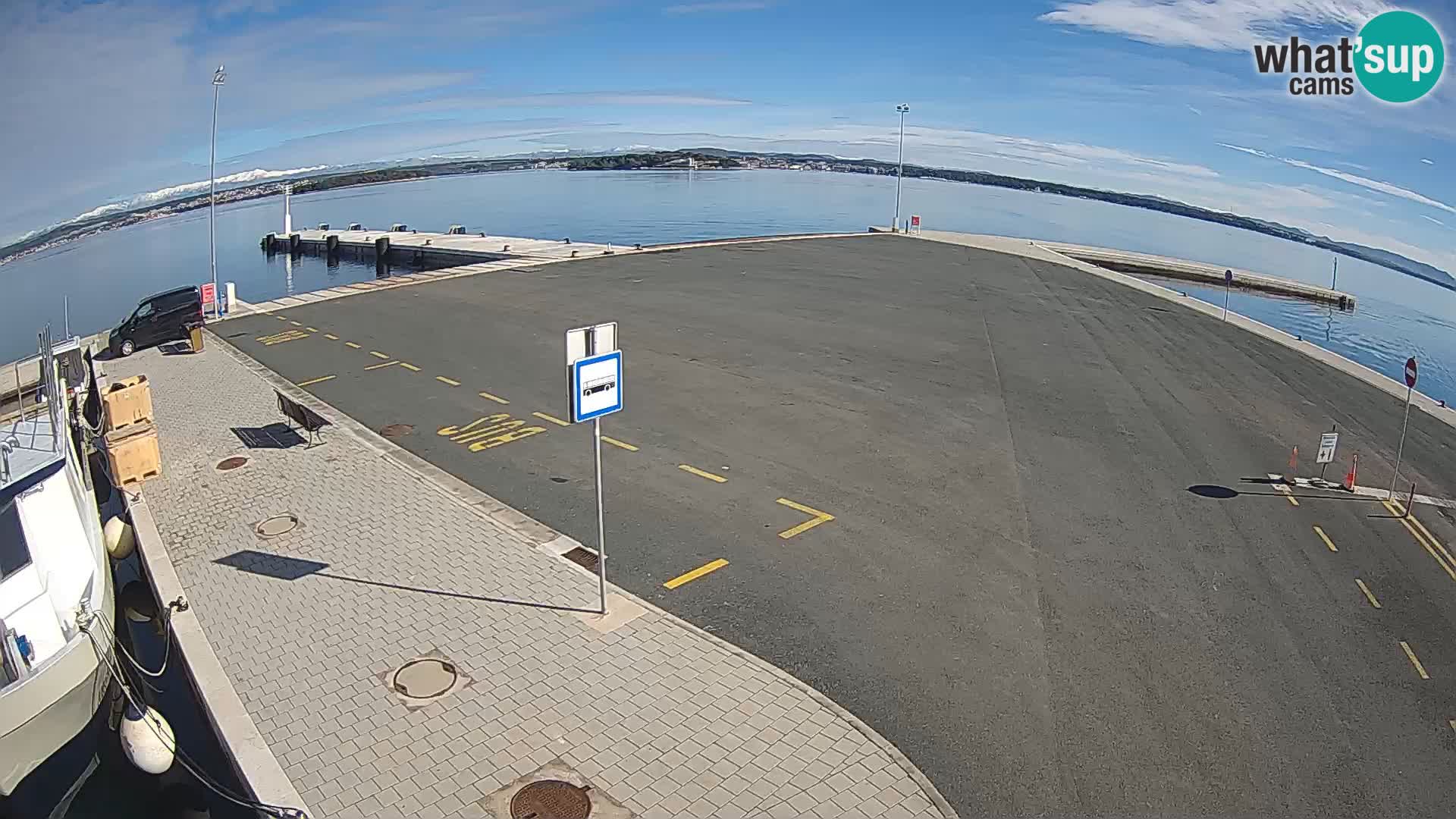 Tkon v živo – trajekt – Dalmacija – Hrvaška