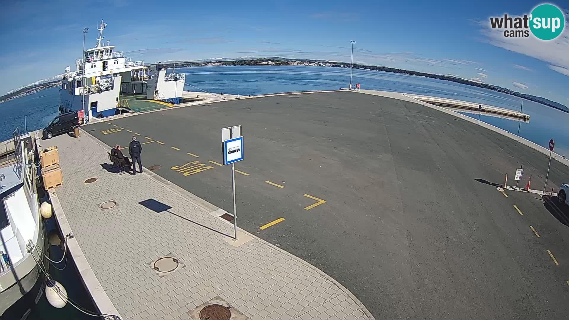 Tkon camera en vivo – Transportar – Dalmacia – Croacia