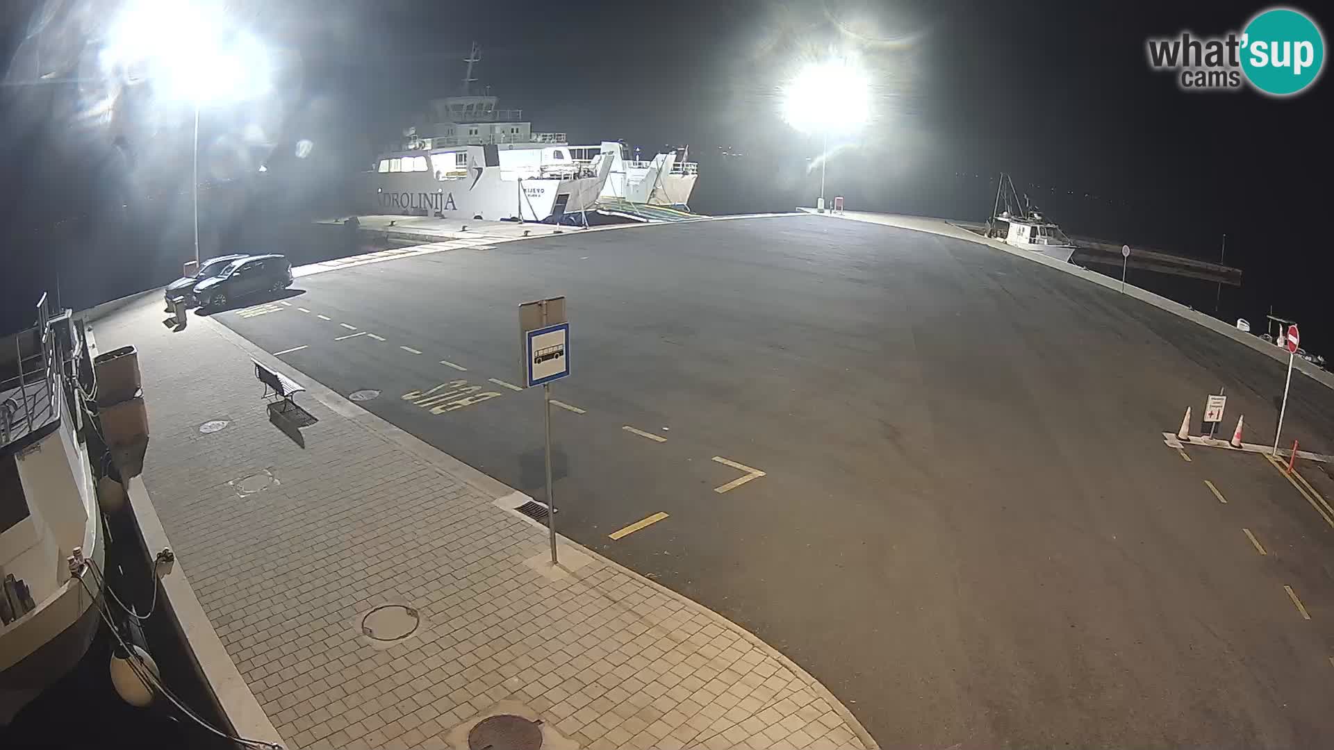 Tkon v živo – trajekt – Dalmacija – Hrvaška