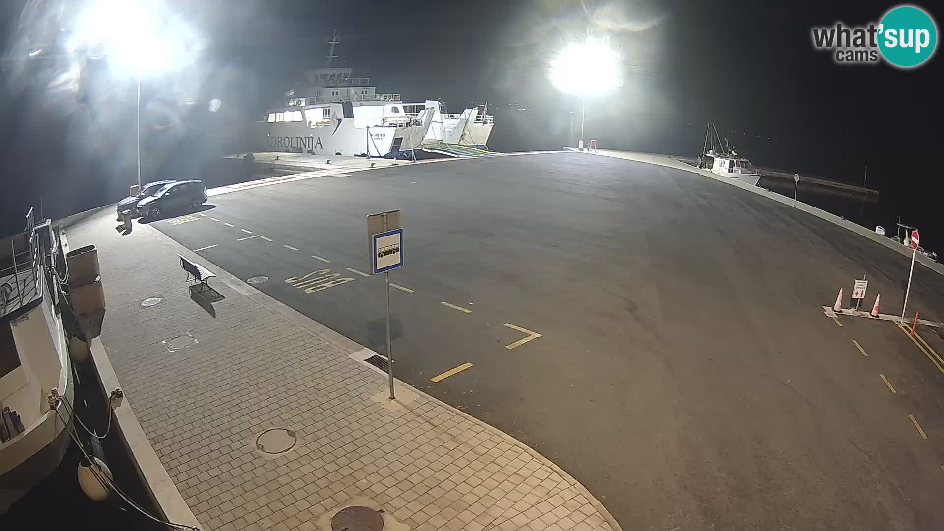 Tkon v živo – trajekt – Dalmacija – Hrvaška