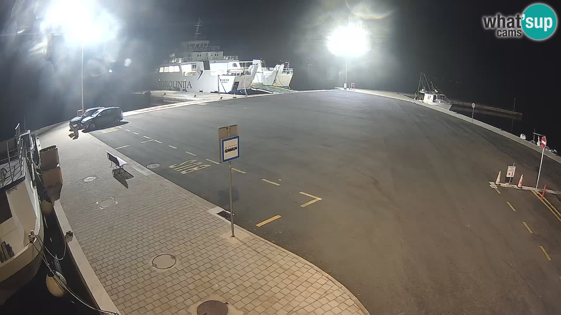 Tkon v živo – trajekt – Dalmacija – Hrvaška