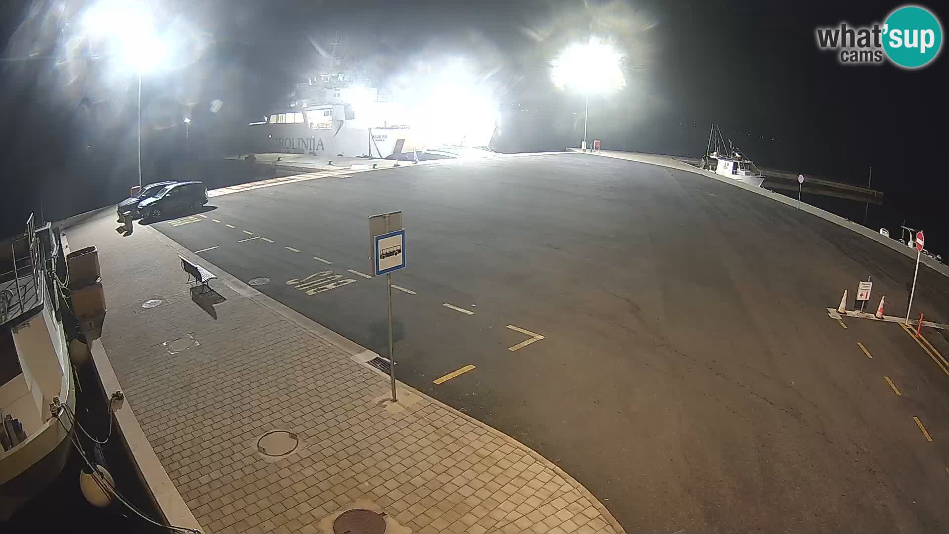 Tkon v živo – trajekt – Dalmacija – Hrvaška