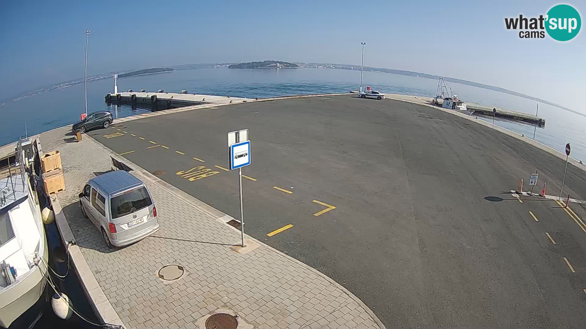 Tkon u živo – trajekt – Dalmacija