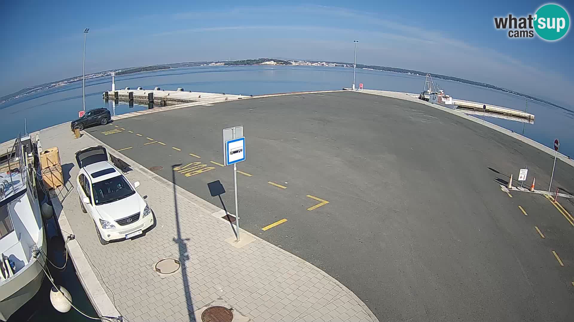 Tkon camera en vivo – Transportar – Dalmacia – Croacia