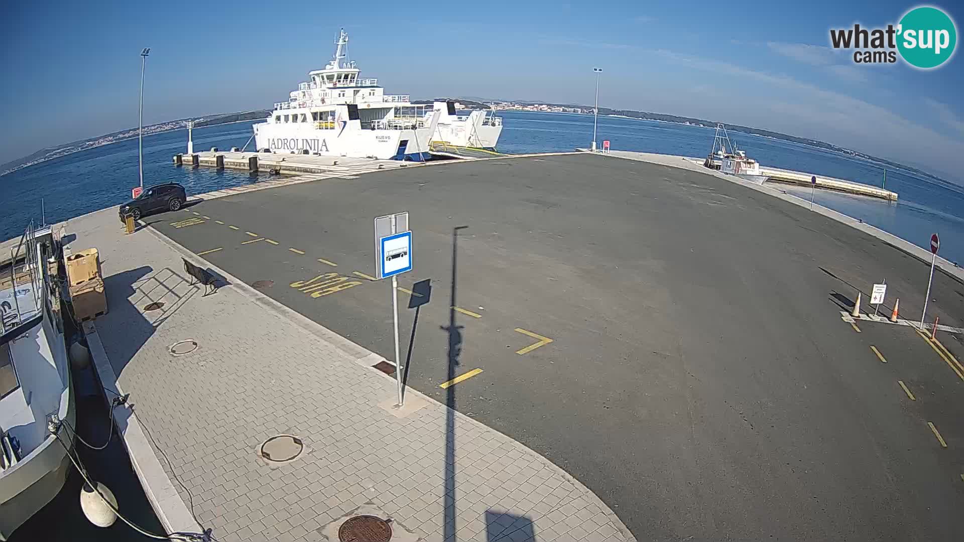 Tkon v živo – trajekt – Dalmacija – Hrvaška