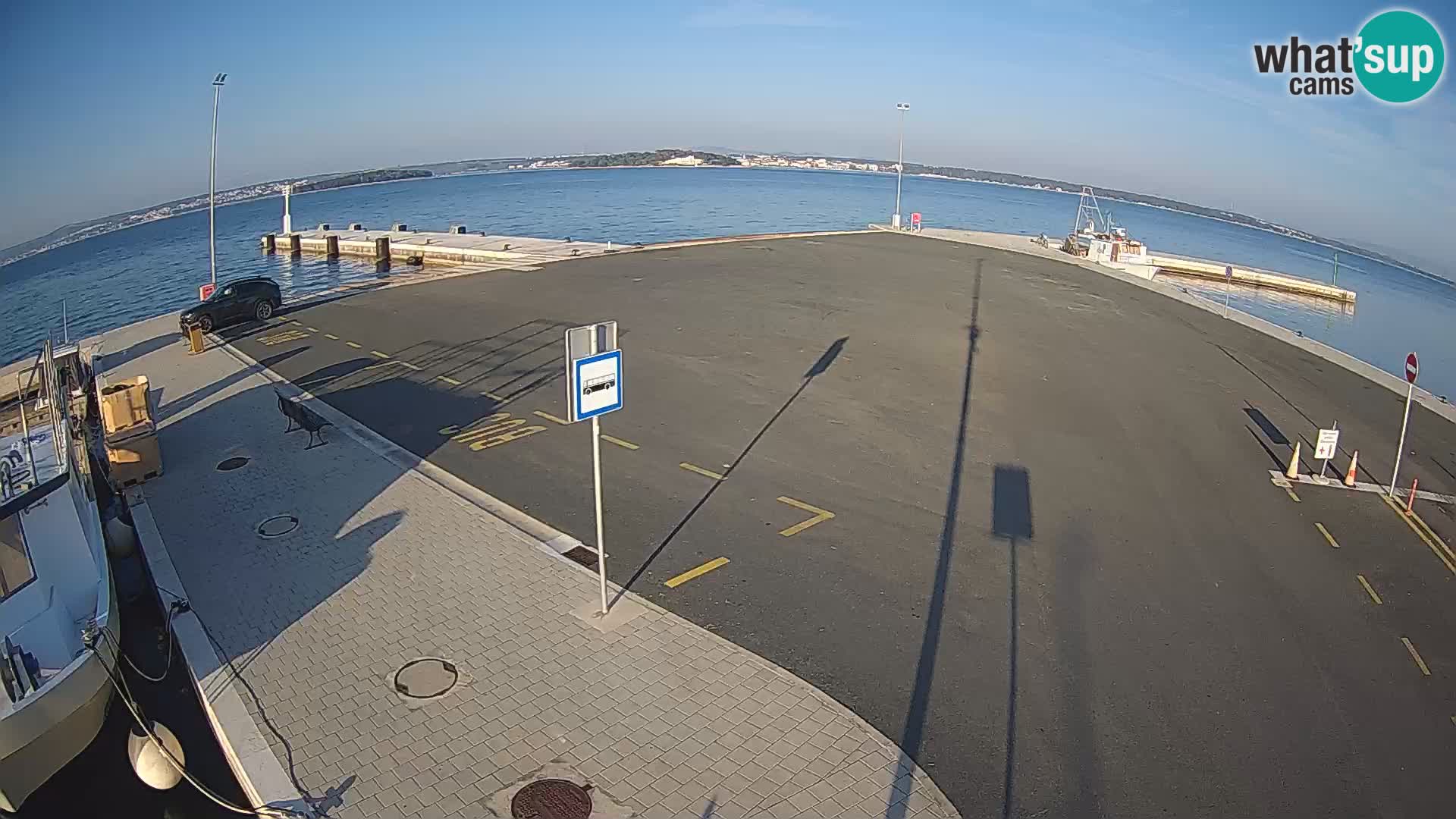 Tkon v živo – trajekt – Dalmacija – Hrvaška