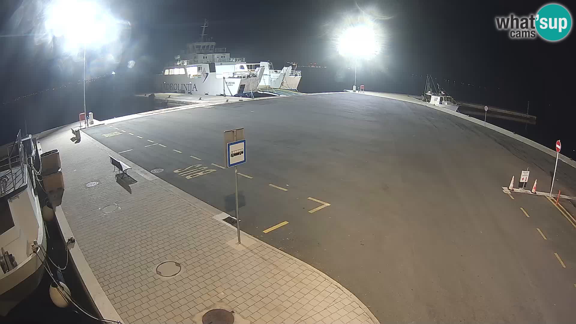 Tkon v živo – trajekt – Dalmacija – Hrvaška