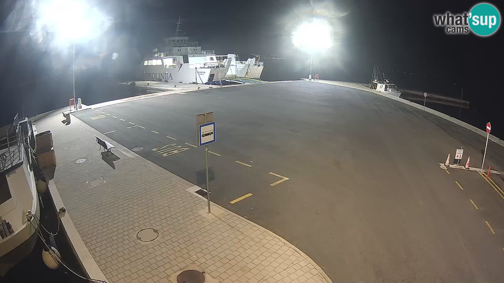 Tkon v živo – trajekt – Dalmacija – Hrvaška