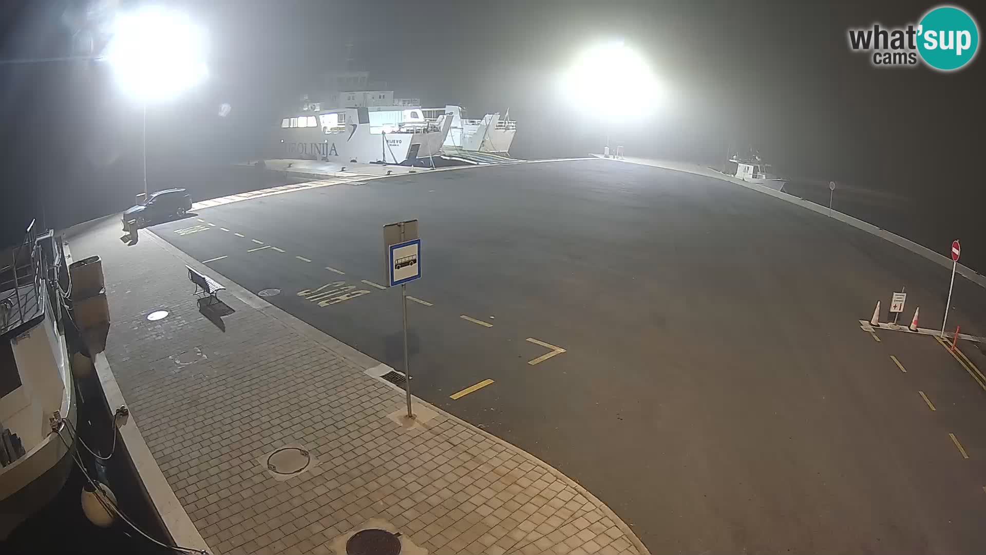 Tkon v živo – trajekt – Dalmacija – Hrvaška