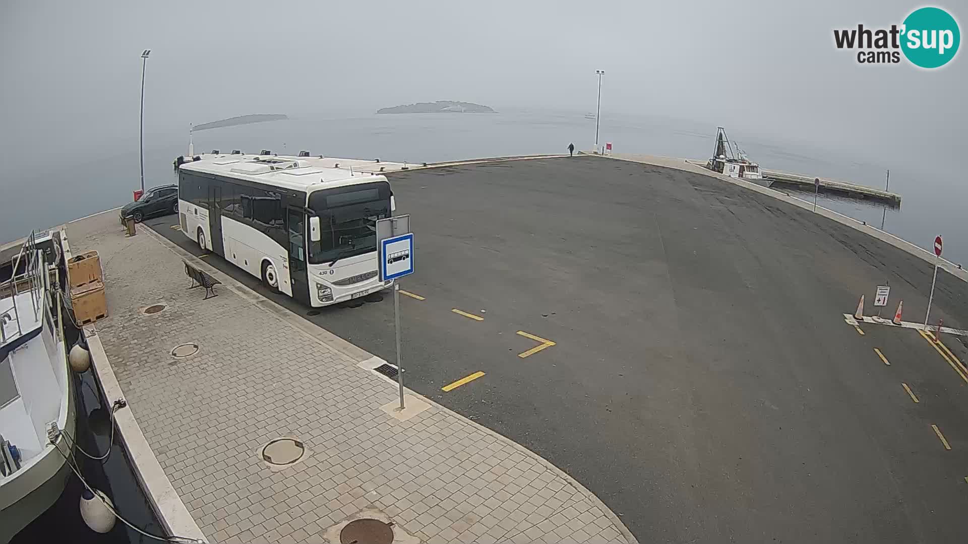 Tkon Live cam – ferry – Dalmatie – Croatie