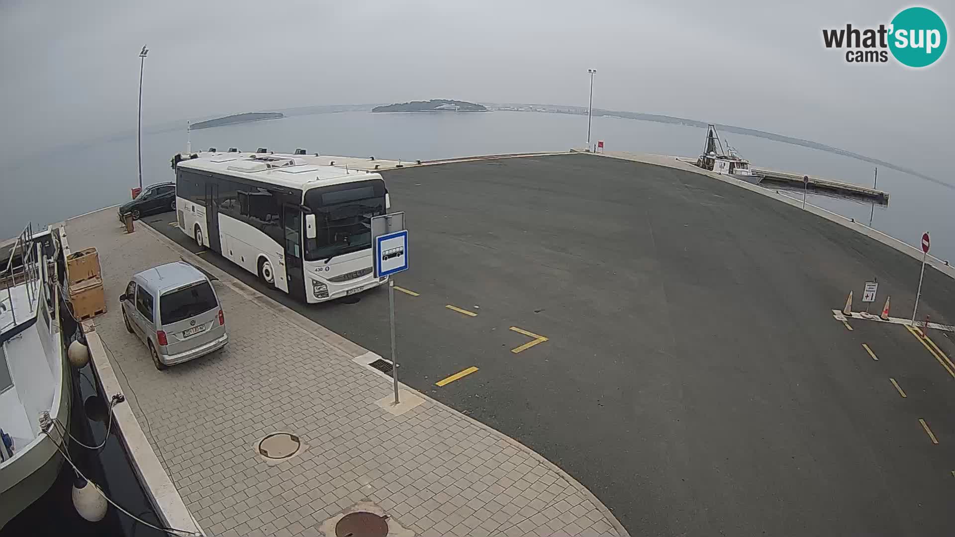 Tkon v živo – trajekt – Dalmacija – Hrvaška