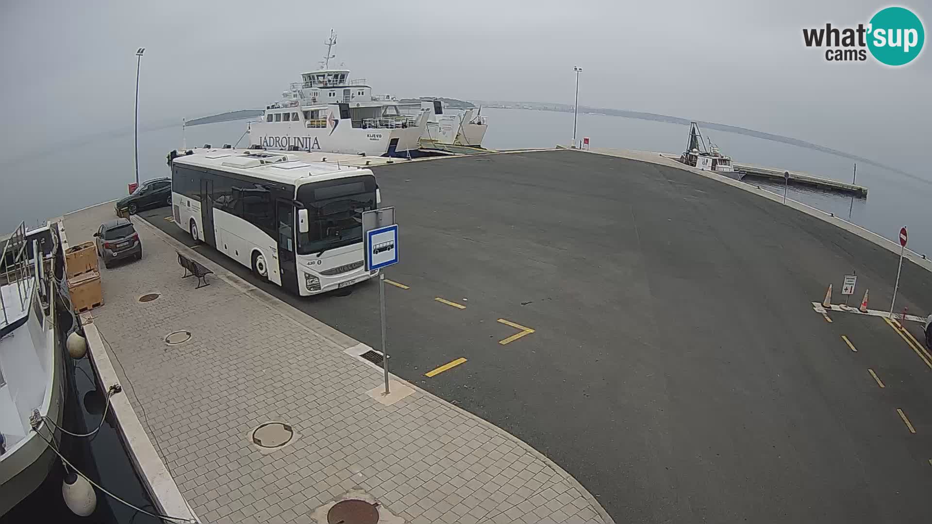 Tkon v živo – trajekt – Dalmacija – Hrvaška