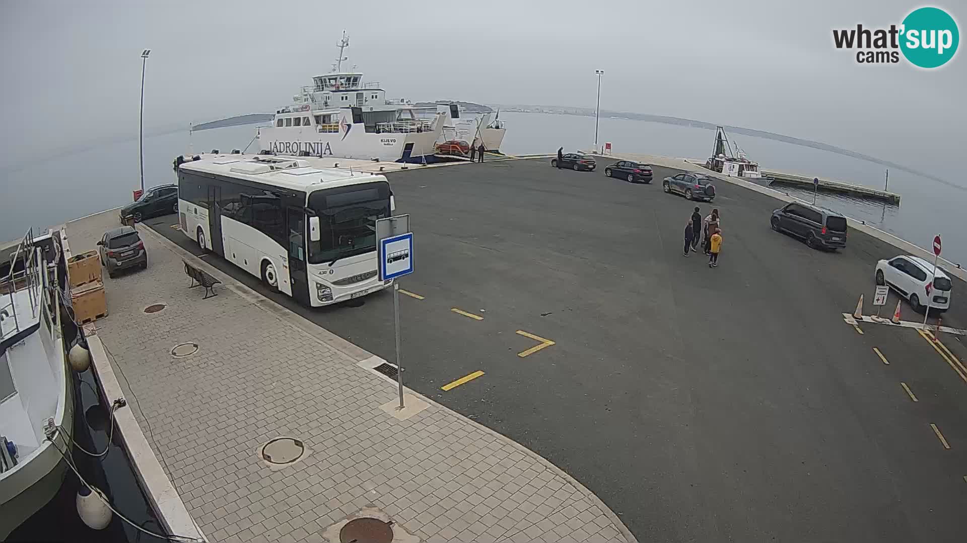 Tkon camera en vivo – Transportar – Dalmacia – Croacia