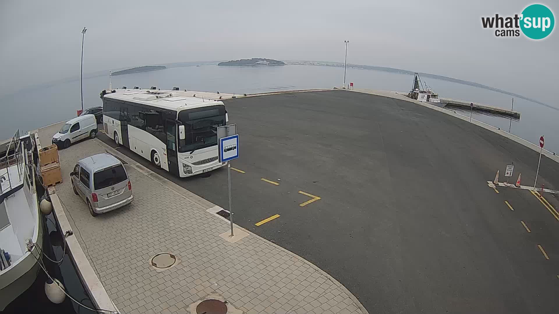 Tkon v živo – trajekt – Dalmacija – Hrvaška