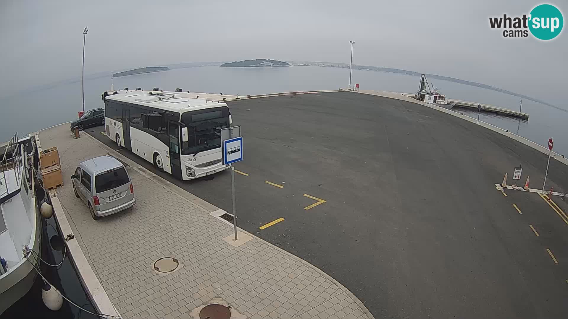 Tkon v živo – trajekt – Dalmacija – Hrvaška