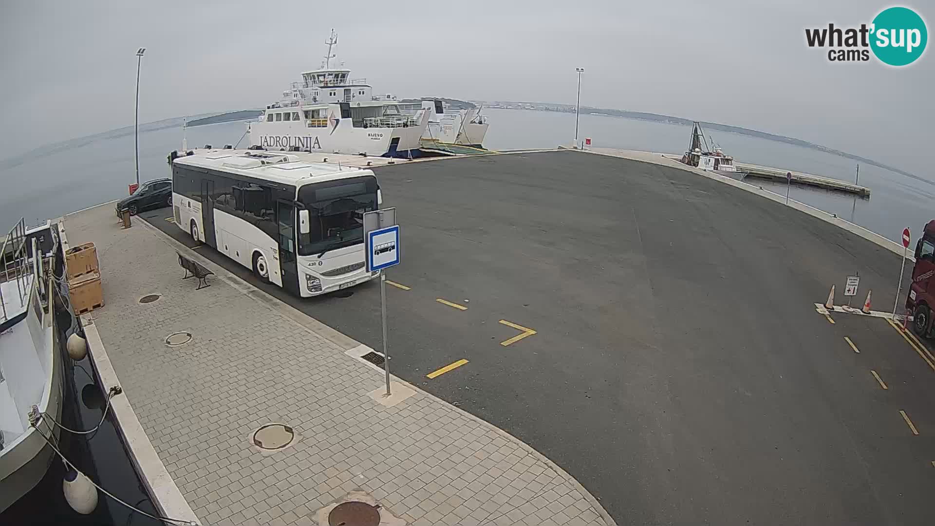 Tkon Live cam – Fähre – Dalmatien – Kroatien