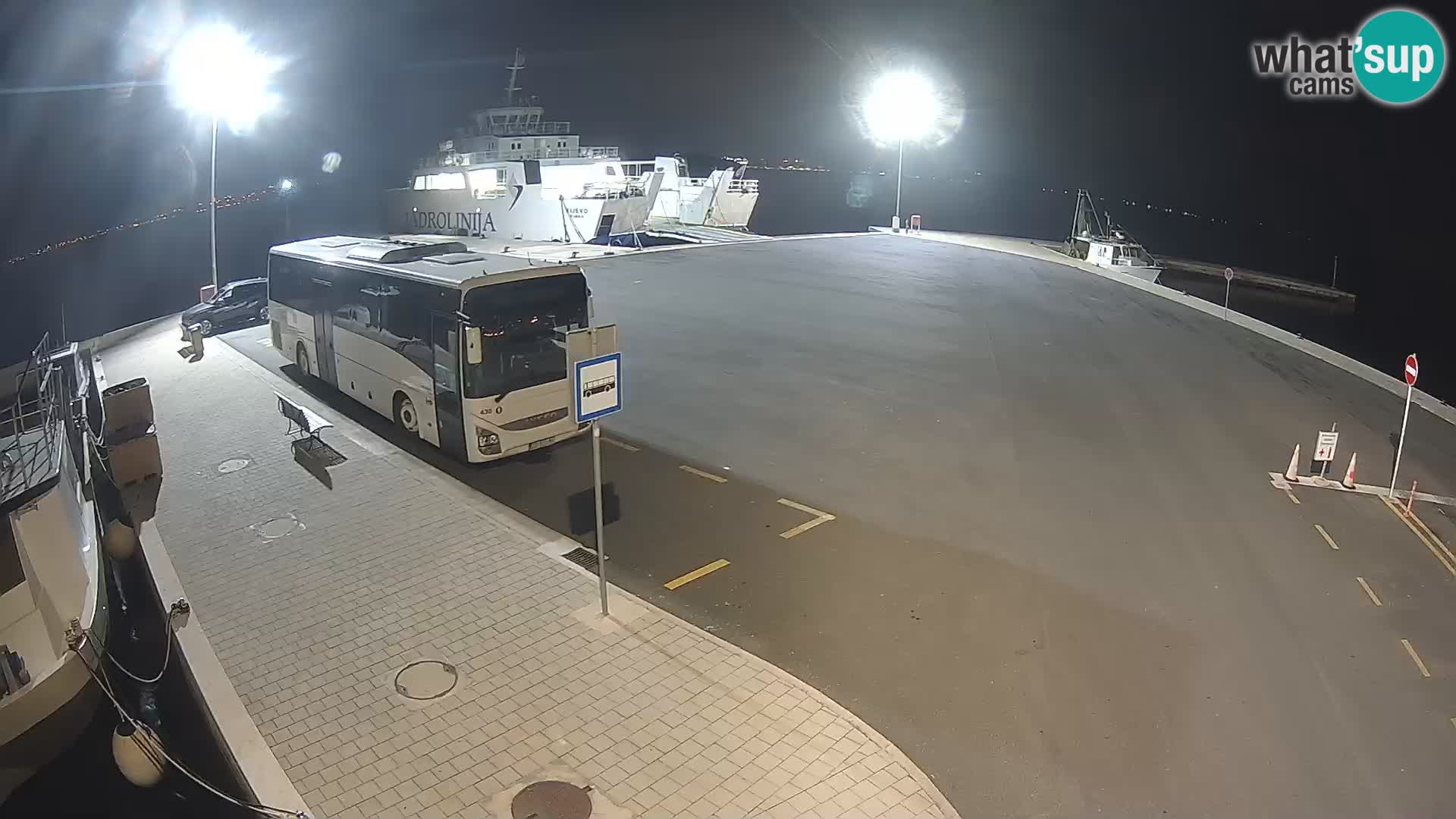 Tkon u živo – trajekt – Dalmacija