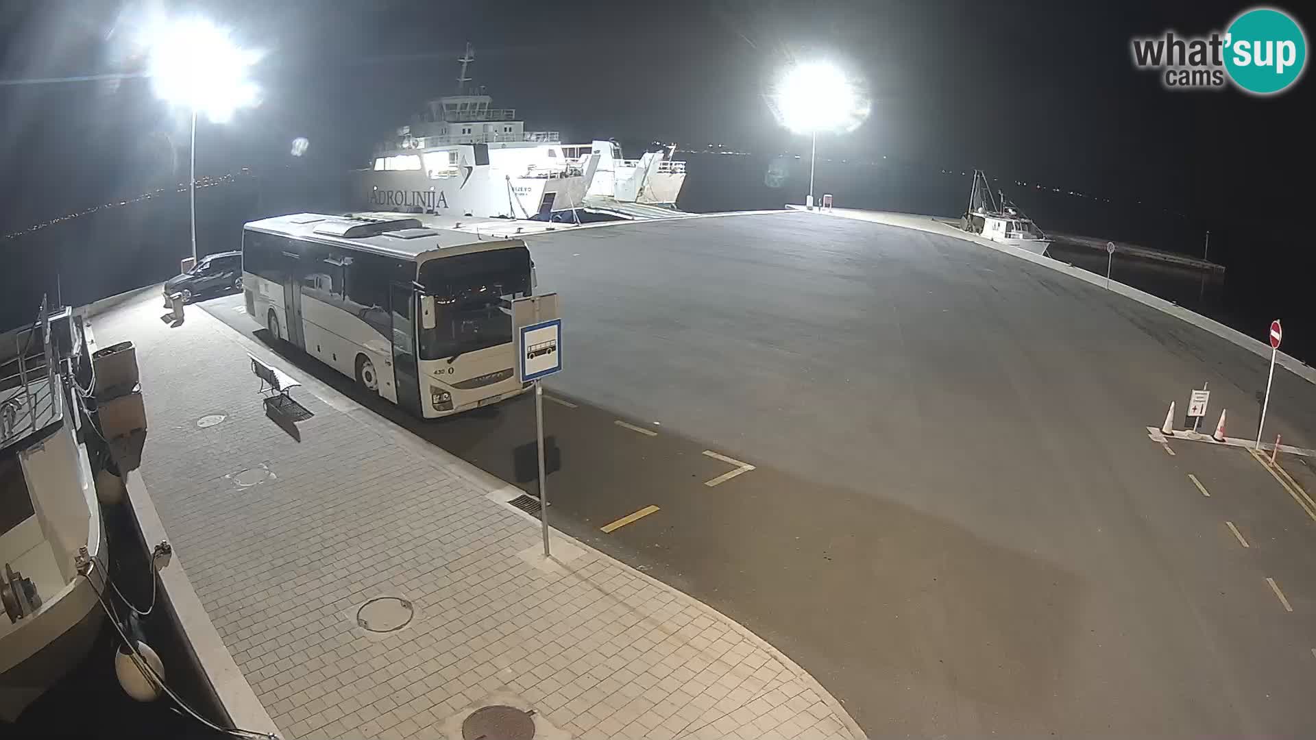 Tkon u živo – trajekt – Dalmacija