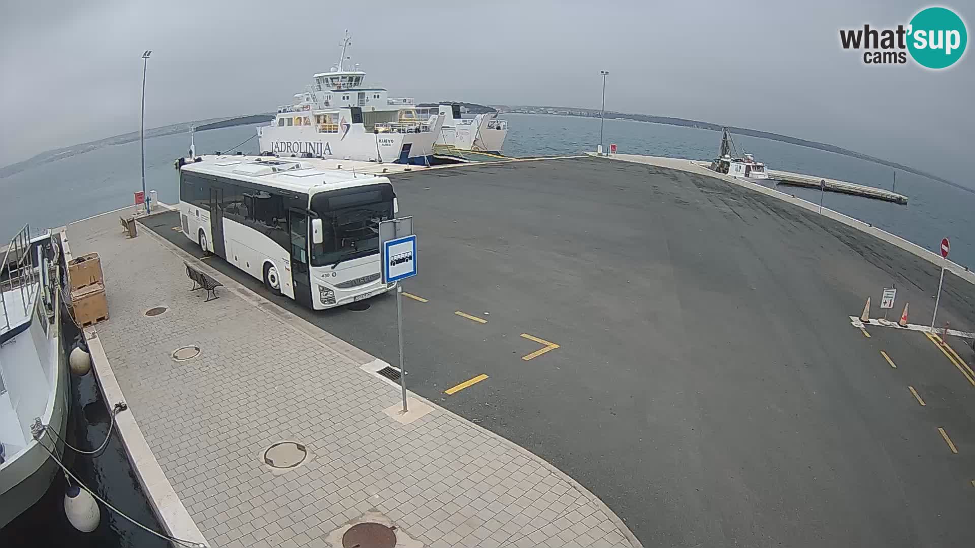 Tkon Live cam – traghetto – Dalmazia – Croazia