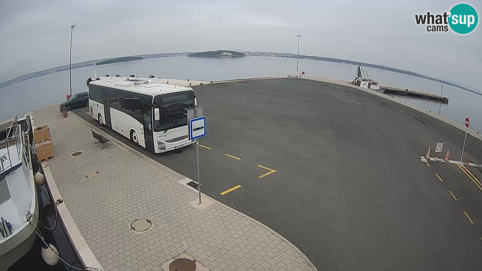 Tkon v živo – trajekt – Dalmacija – Hrvaška