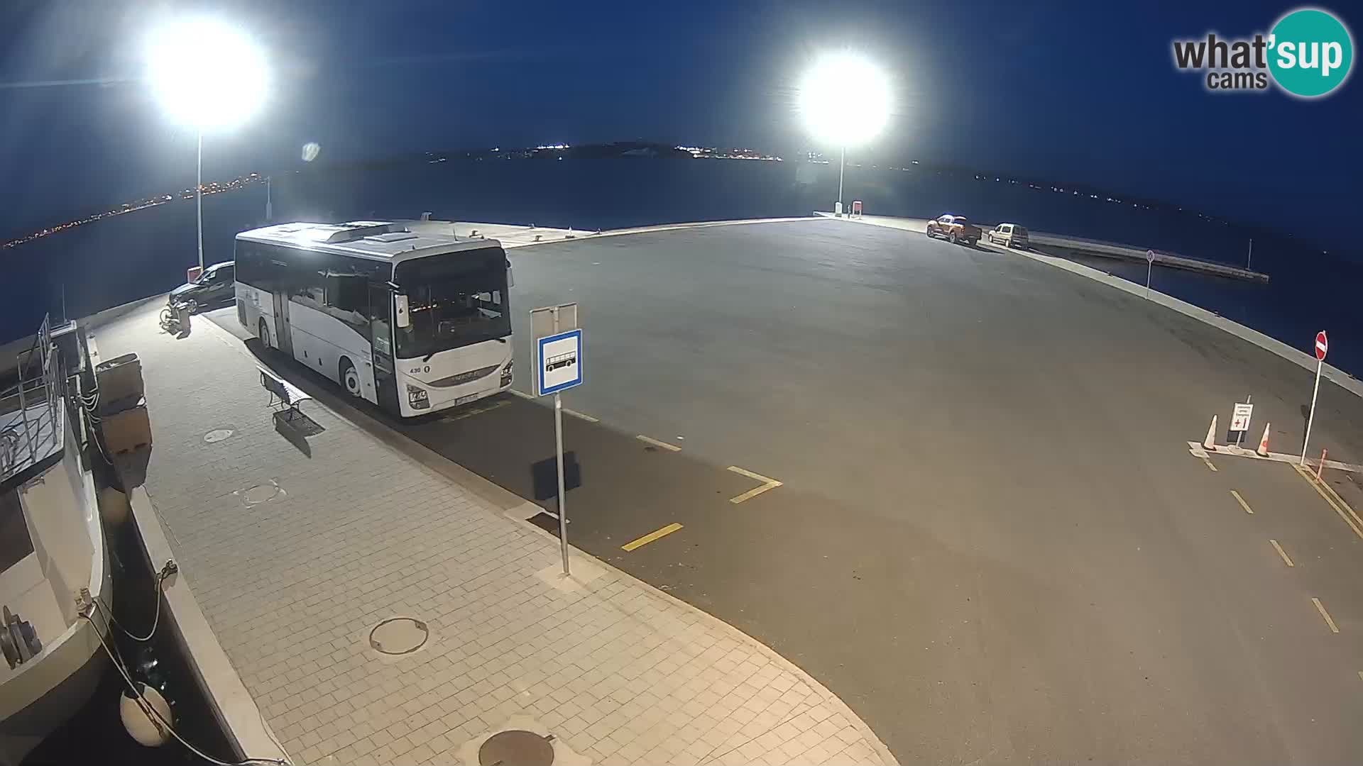 Tkon v živo – trajekt – Dalmacija – Hrvaška