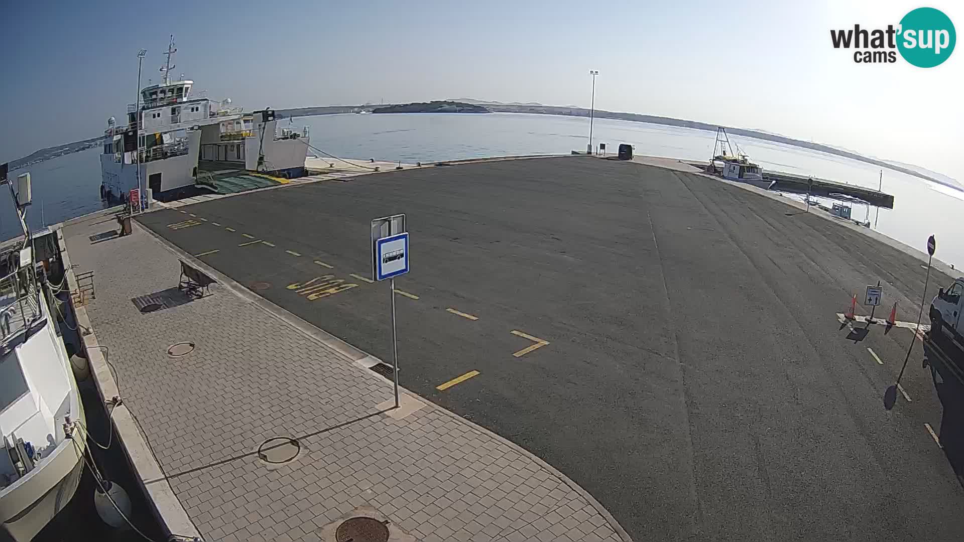 Tkon v živo – trajekt – Dalmacija – Hrvaška