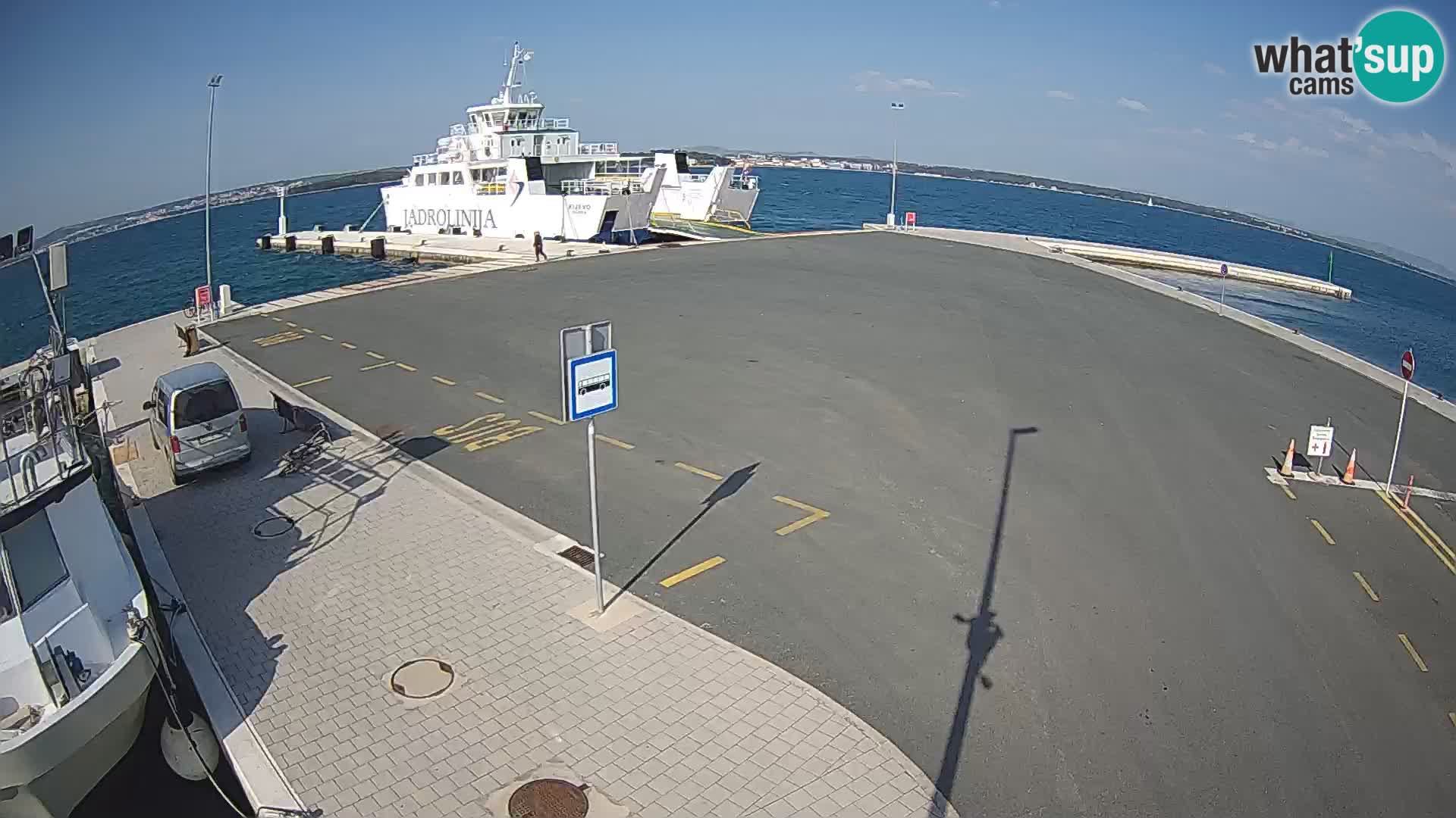 Tkon v živo – trajekt – Dalmacija – Hrvaška