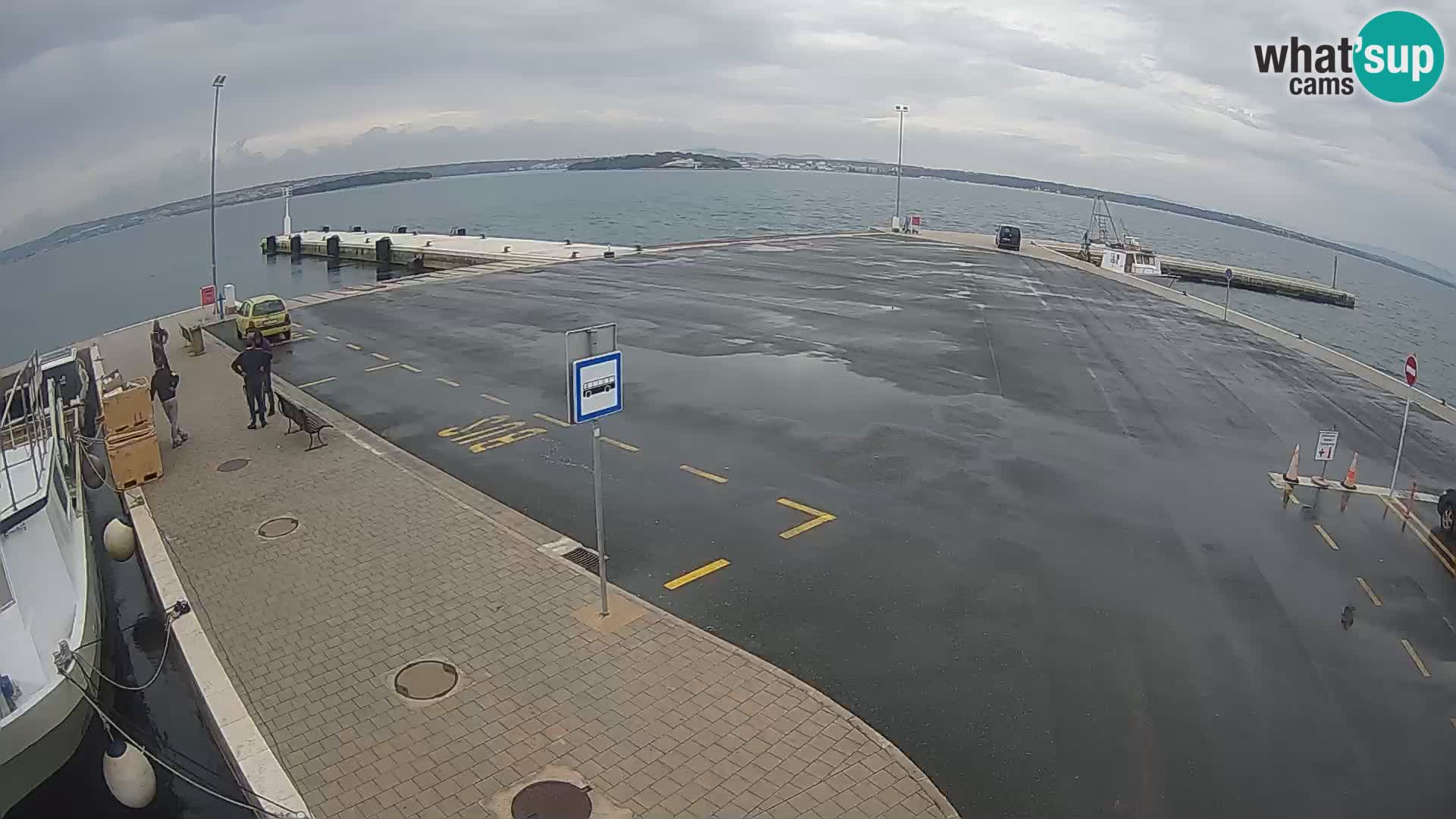 Tkon camera en vivo – Transportar – Dalmacia – Croacia