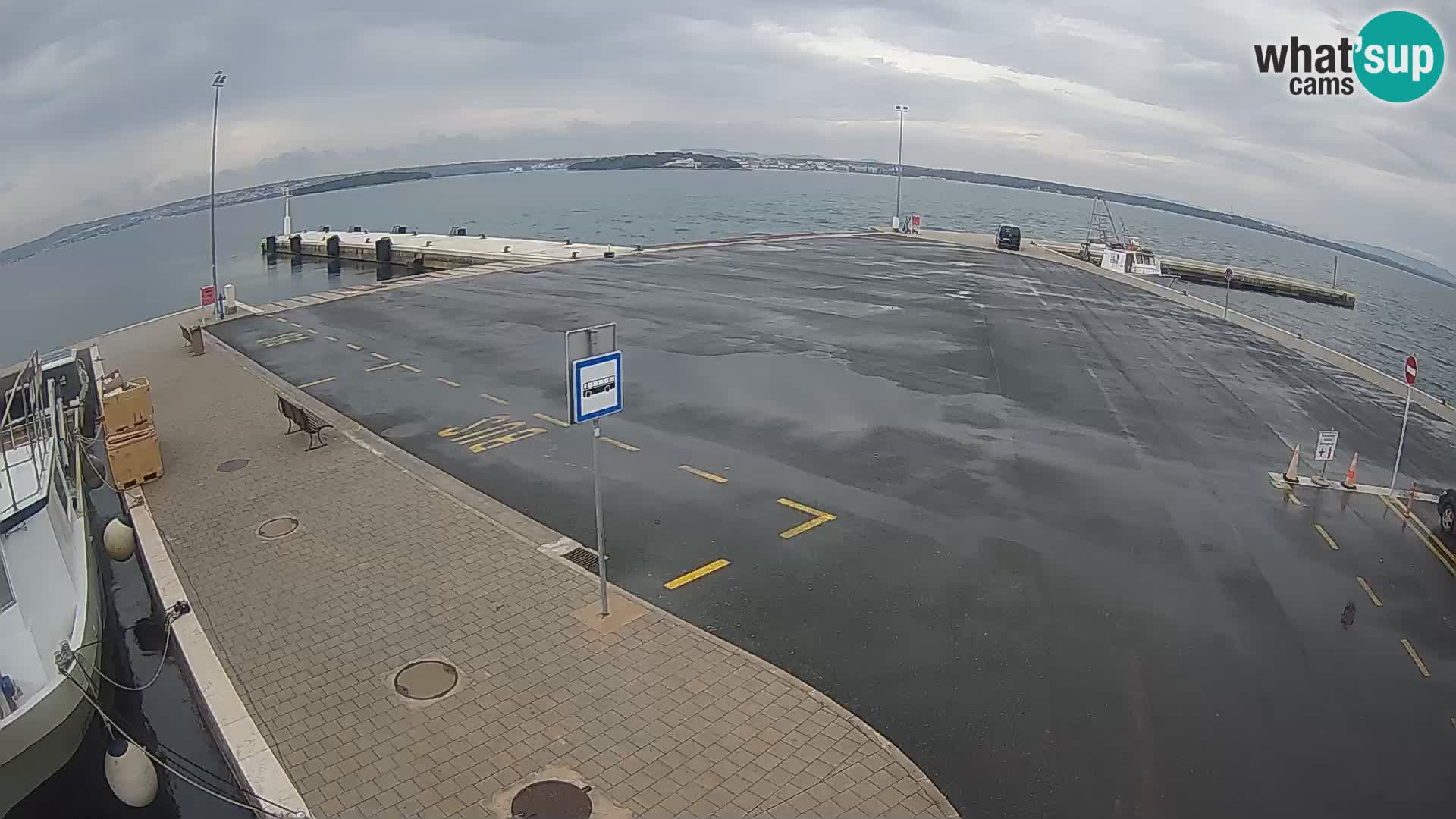 Tkon v živo – trajekt – Dalmacija – Hrvaška