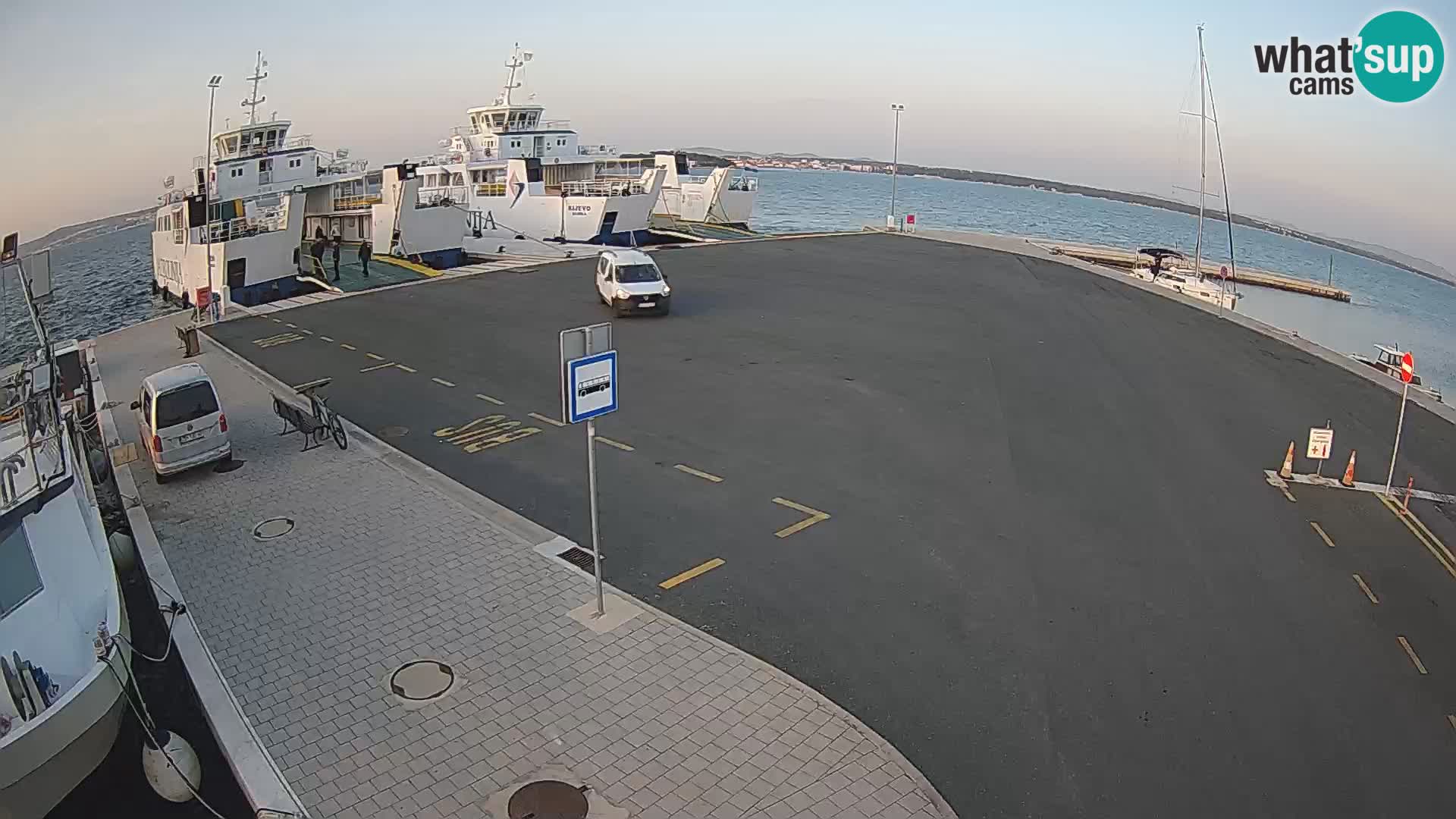 Tkon v živo – trajekt – Dalmacija – Hrvaška