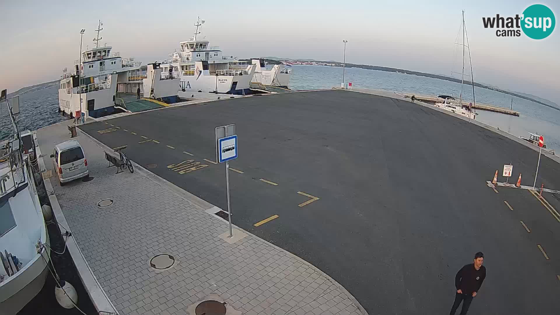 Tkon v živo – trajekt – Dalmacija – Hrvaška