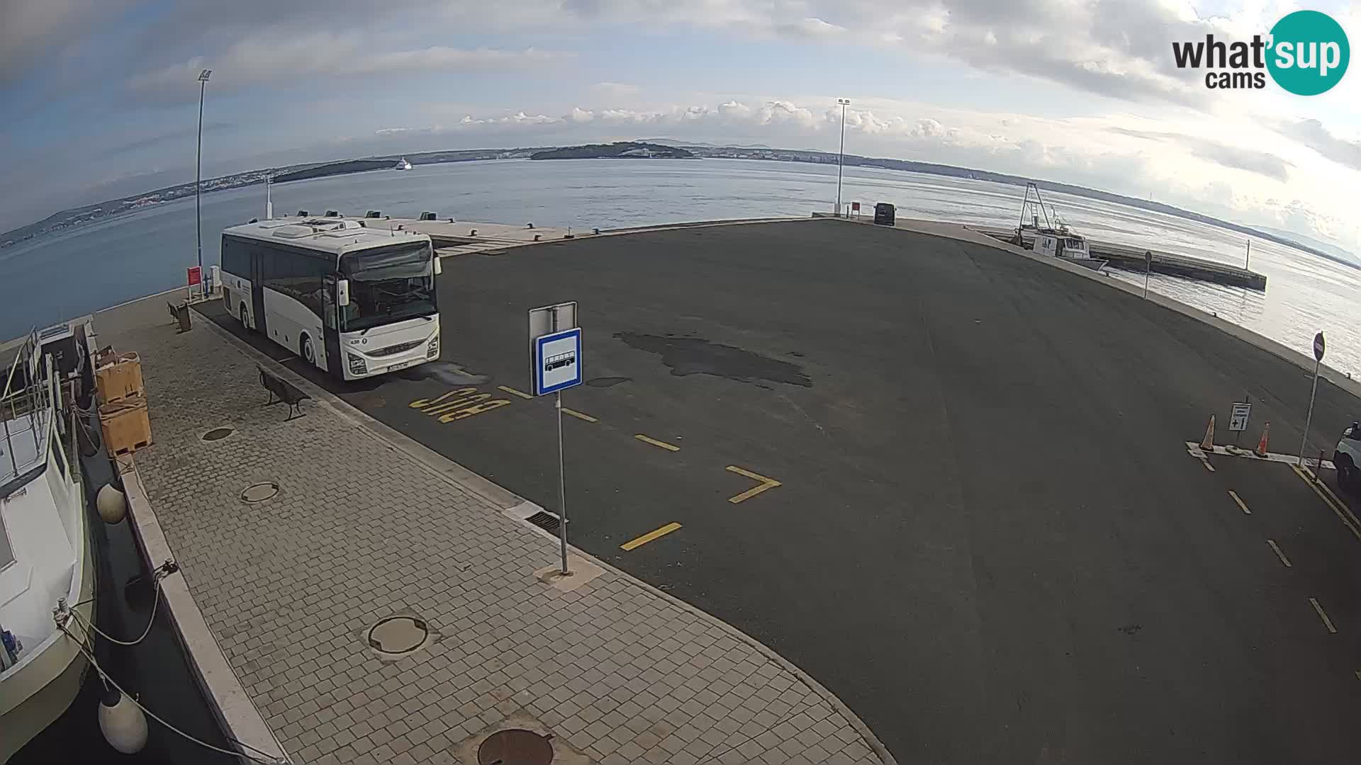 Tkon Live cam – ferry – Dalmatie – Croatie